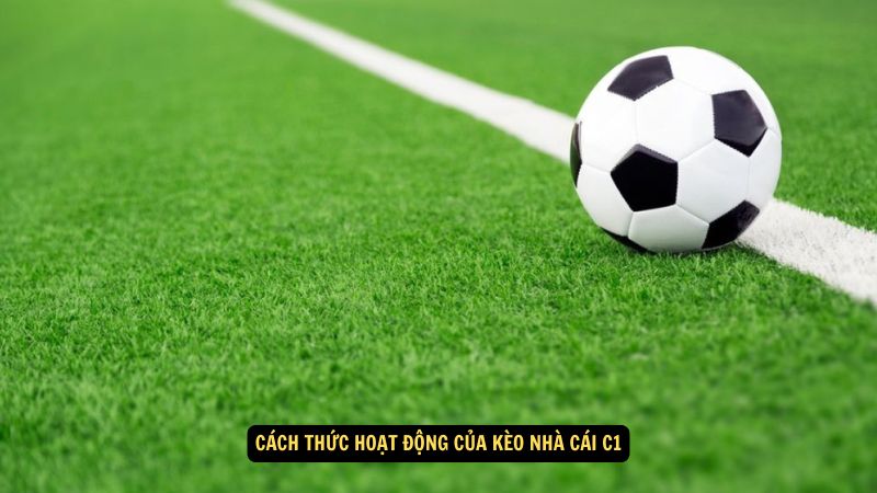 Kèo Nhà Cái C1: Dự Đoán Chính Xác Và Tư Vấn Đặt Cược 3 Cách thức hoạt động của kèo nhà cái C1
